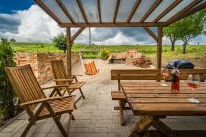Vinoza - ubytování a vinný sklep Velké Bílovice Pod Vinicí - Podivín