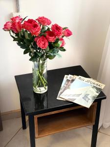 Le Bijou Chic in the Heart of Saigon Charm with VIEW