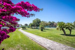 The aurora's home img14