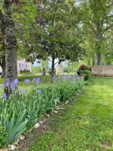 Maisons de vacances Belle Dependance du Chateau le Parc avec sa piscine : photos des chambres