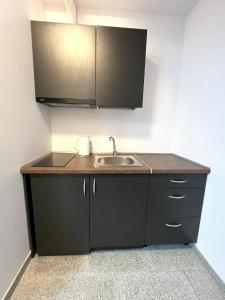 Vyturiai - naujų apartamentų nuoma Šventojoje