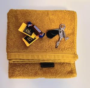 Sejours chez l'habitant Chambre spacieuse a Sartrouville : photos des chambres