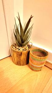 Sejours chez l'habitant Chambre spacieuse a Sartrouville : photos des chambres