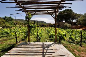 Hotels Domaine Pozzo di Mastri hotel & spa : photos des chambres