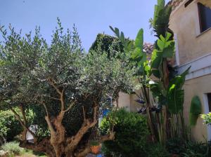 Casa Vacanze LUlivo di Ugo