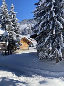 Chalets Chalet LA SOURCE : photos des chambres
