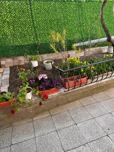 Kyshta za Gosti Dari Rumi 1