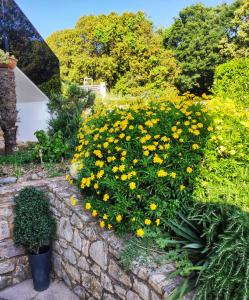 Apartman sa pogledom na more