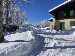 Chalets Chalet LA SOURCE : photos des chambres