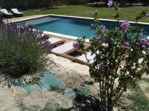 Maisons de vacances Mas de village avec piscine et grand jardin cloture : photos des chambres