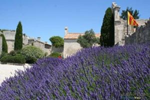 Maisons de vacances Mas de village avec piscine et grand jardin cloture : photos des chambres