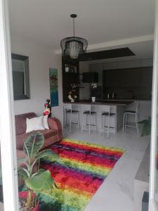 Appartements Appartement des Cygnes : photos des chambres