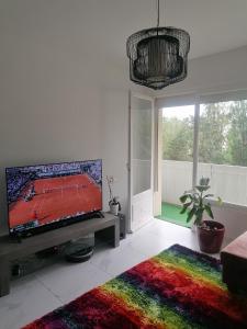 Appartements Appartement des Cygnes : photos des chambres