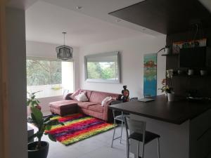 Appartements Appartement des Cygnes : photos des chambres