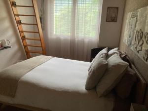 Les balcons du Rhône