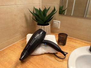 Apartament z garażem i ogrodem