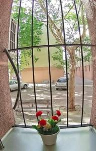 Apartamento - 9min Estadio METROPOLITANO