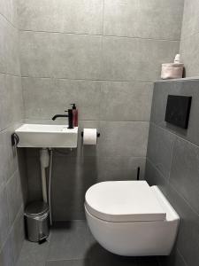 vakantiehuis Lieke Lauwersmeer met sauna