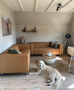 vakantiehuis Lieke Lauwersmeer met sauna