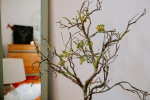 Bungavilla House in La Isla