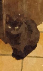 B&B / Chambres d'hotes Maison Arelate : photos des chambres