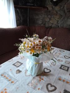 Котеджі "У Яни"