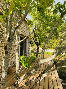 B&B / Chambres d'hotes Le Domaine Quercus : photos des chambres