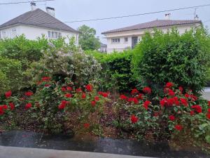 Appartements Maison avec exterieur et arrivee autonome - Aurillac : photos des chambres