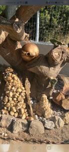 Dionisia Apartments 2