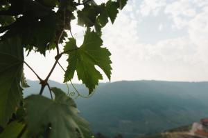 Apedeceo Belesar Villa, Ribeira Sacra, Galicia