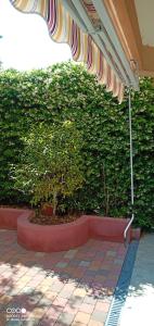 Appartements Appartement avec jardin : photos des chambres