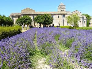 Maisons de vacances Maison place Favier 6 personnes : photos des chambres