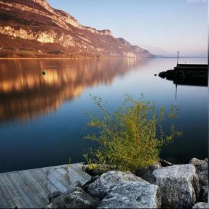 Maisons de vacances Gite Au Bout du Lac : photos des chambres