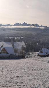 Pokoje Gościnne Panorama