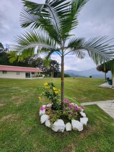 Villeta Casa de Campo caracoli spa