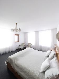 Double Room room in Penzion Jakub