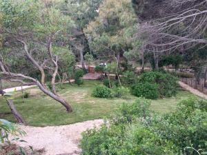 Villa Stella Marina img22