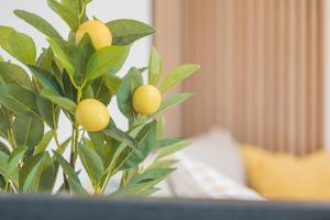 Lemon Suites Apartment in Stetten
