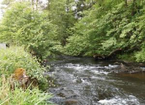 Le Beau Rivage - M24