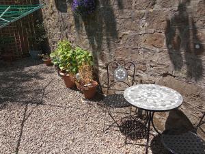 Cozy Courtyard Apt Explore & Relax Free Parking