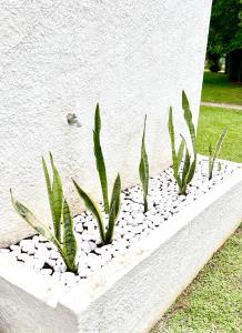 Detailed Villa - In Vilamouras Heart