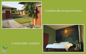 Green Chwadi Nature Retreat