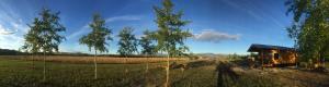 Omas and Opas Northern Lights Viewing Cabin