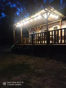 Holenderka Artur - 普热赫莱沃