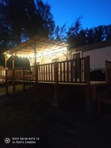 Holenderka Olek - 普热赫莱沃