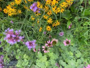 Bed & Wellness Klein Knorrestein with private hottub and sauna and tandembike rental included in price