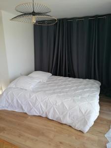 Appartements Logement entier independant dans une maison calme avec jardin barbecue face aux vignes pouvant accueillir cette personne tres bien si tu es a 5 minutes de Saint-Emilion 5 minutes du centre-ville de Libourne et 5 minutes de l'hopital : photos des chambres