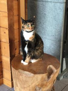 Le chalet de Doucy Bardet