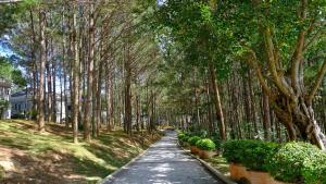 Dalat Edensee Lake Resort & Spa