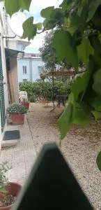 Il Giardino di Maura - Aemme2 - San Pietro di Recanati